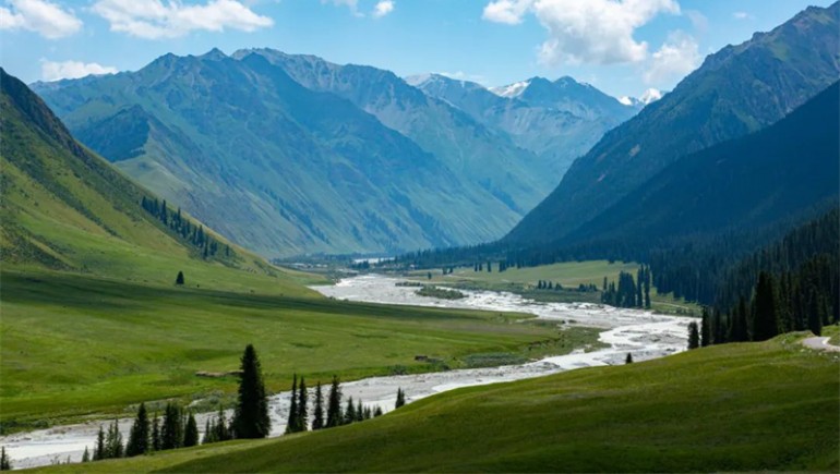 公司治理獲高度認(rèn)可！奇正藏藥入選中上協(xié)“最佳實(shí)踐案例”